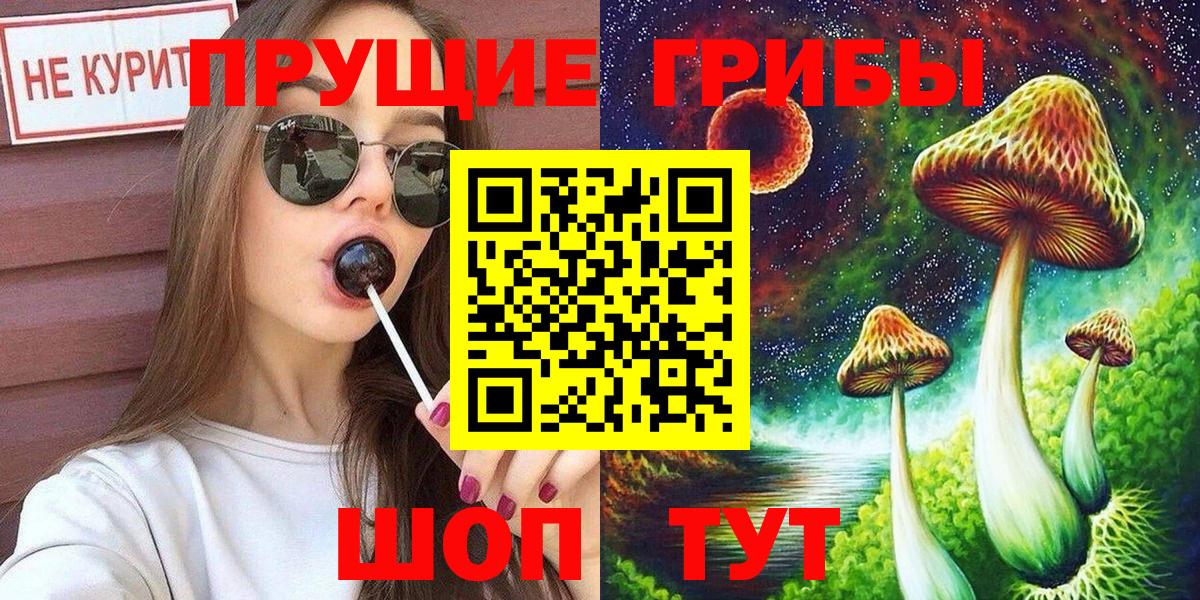 Галлюциногенные грибы Psilocybe  Галлюциногенные грибы прущие грибы  Вход с VPN  Лангепас 